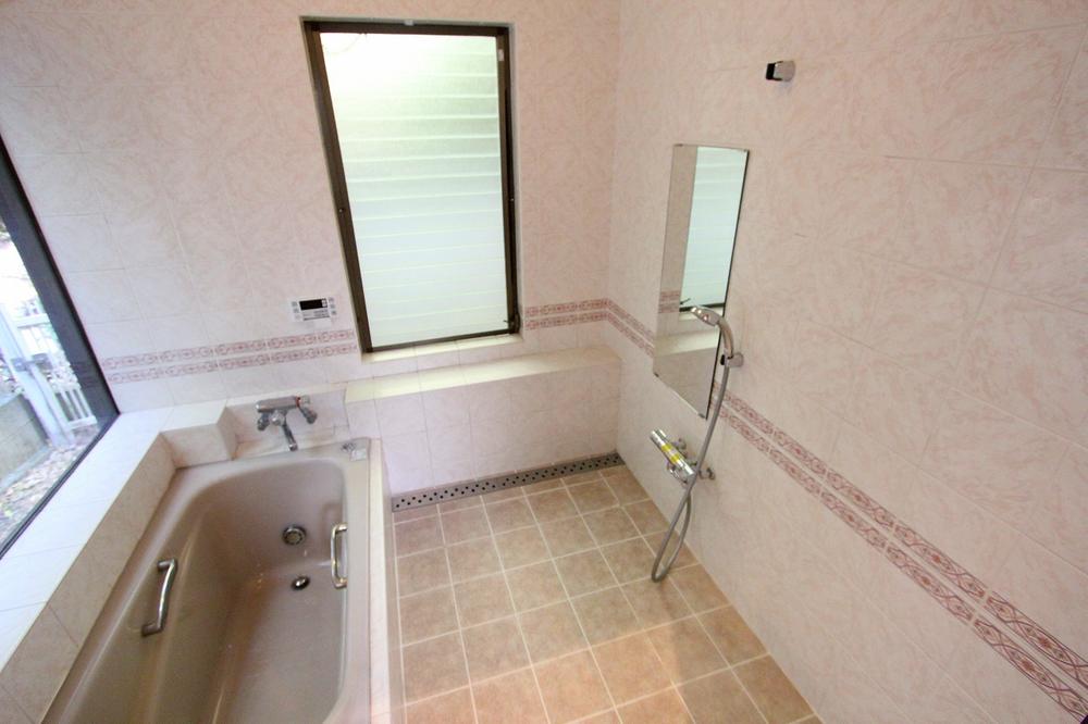 Bathroom. Indoor (11 May 2013) Shooting Forest bathing in the large windows on the left side