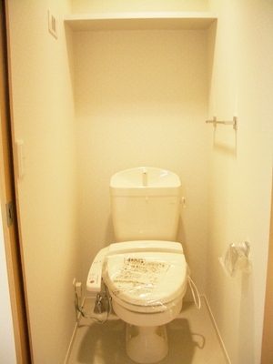 Toilet. Of course with hot water cleaning toilet seat function