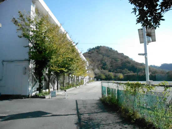 Primary school. 971m to Hayama-machi stand Nagara elementary school (elementary school)