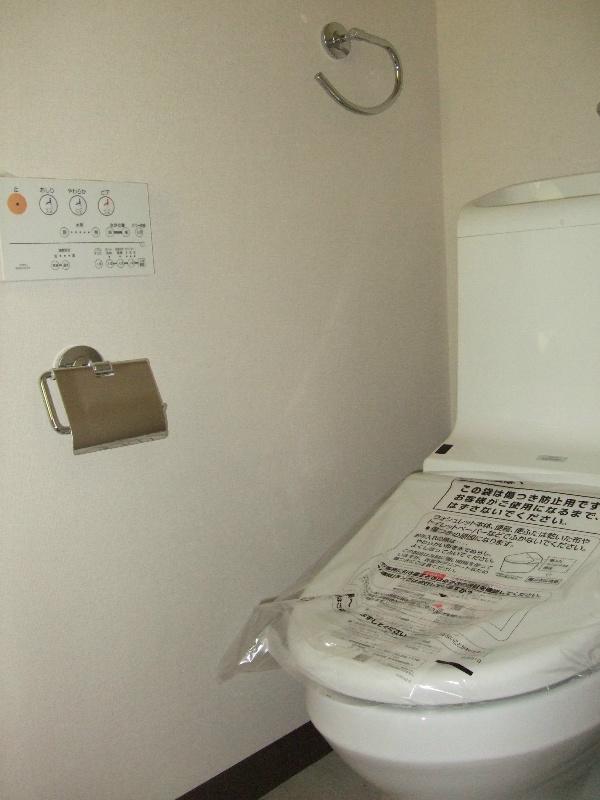 Toilet. It was fitted with a new shower toilet. 