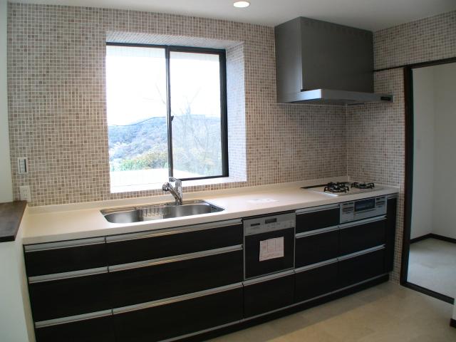 Kitchen. Indoor (11 May 2013) Shooting
