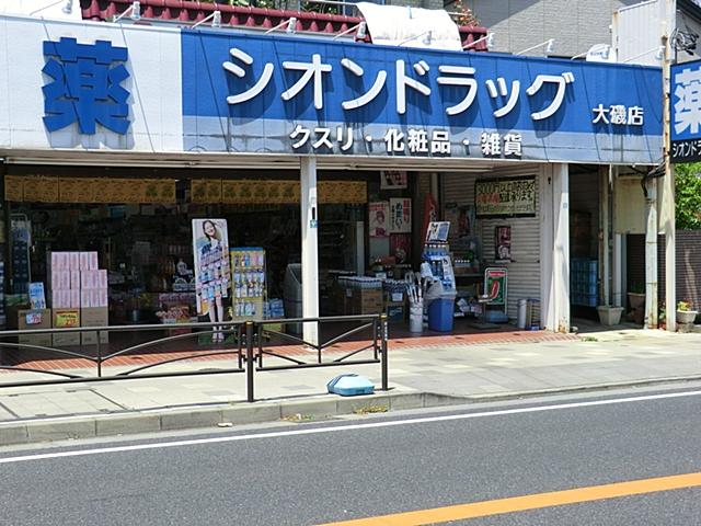 Other. Drug store