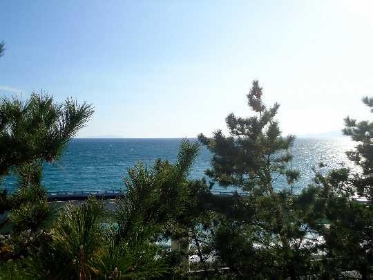 Other local. Green sea of ​​Midori and pine overlooking the south of the sea shine in the eyes from the balcony