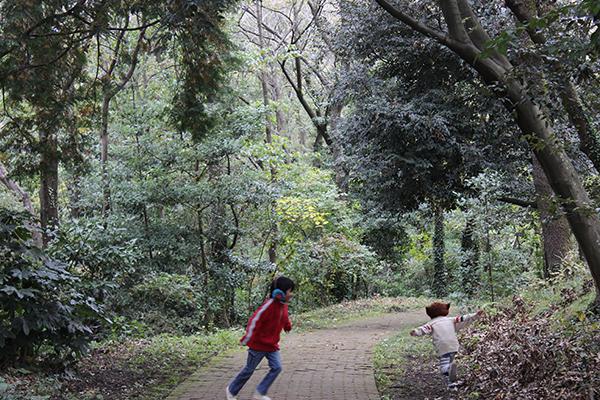 Other. Mountain in the nature a lot of children's playground of Oiso!