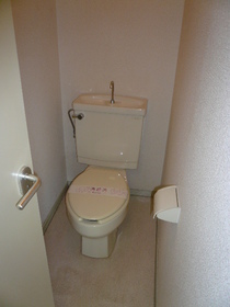 Toilet. Toilet