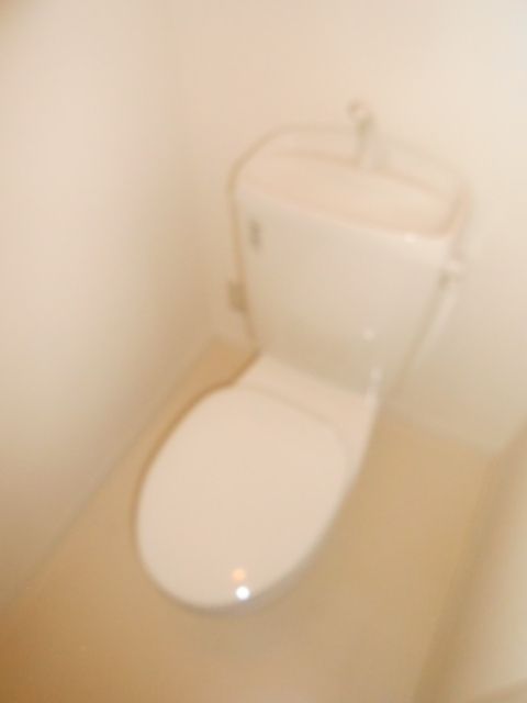 Toilet. Toilet