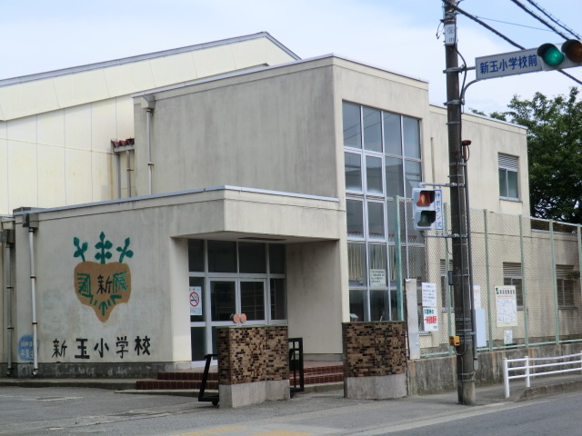 Primary school. 267m until the new ball elementary school (elementary school)