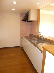 Kitchen. Kitchen