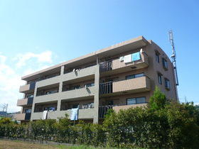 Building appearance
