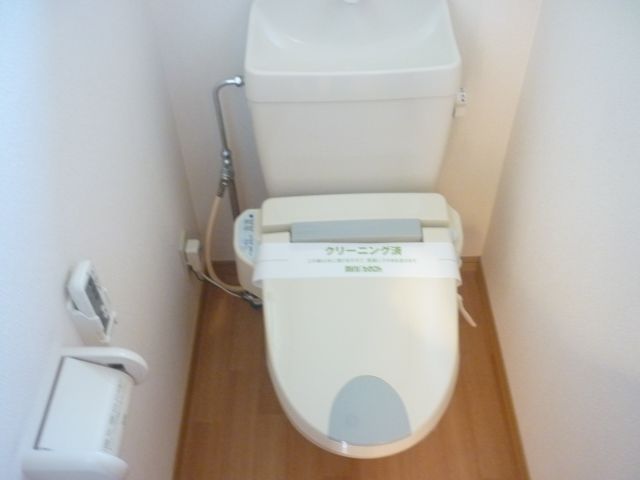 Toilet. Bathing a toilet is natural