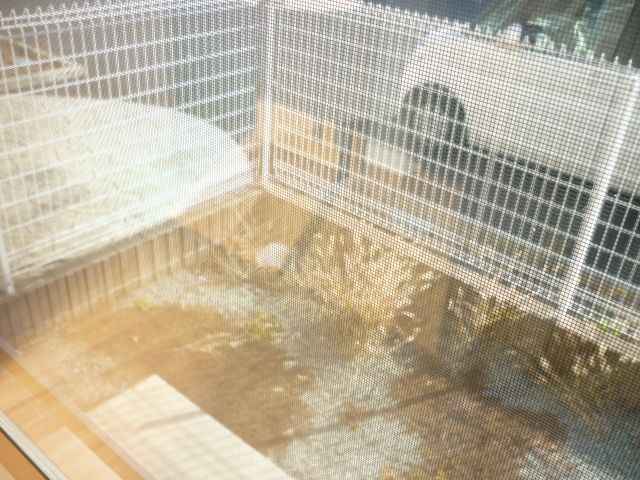 Balcony. There is a private garden