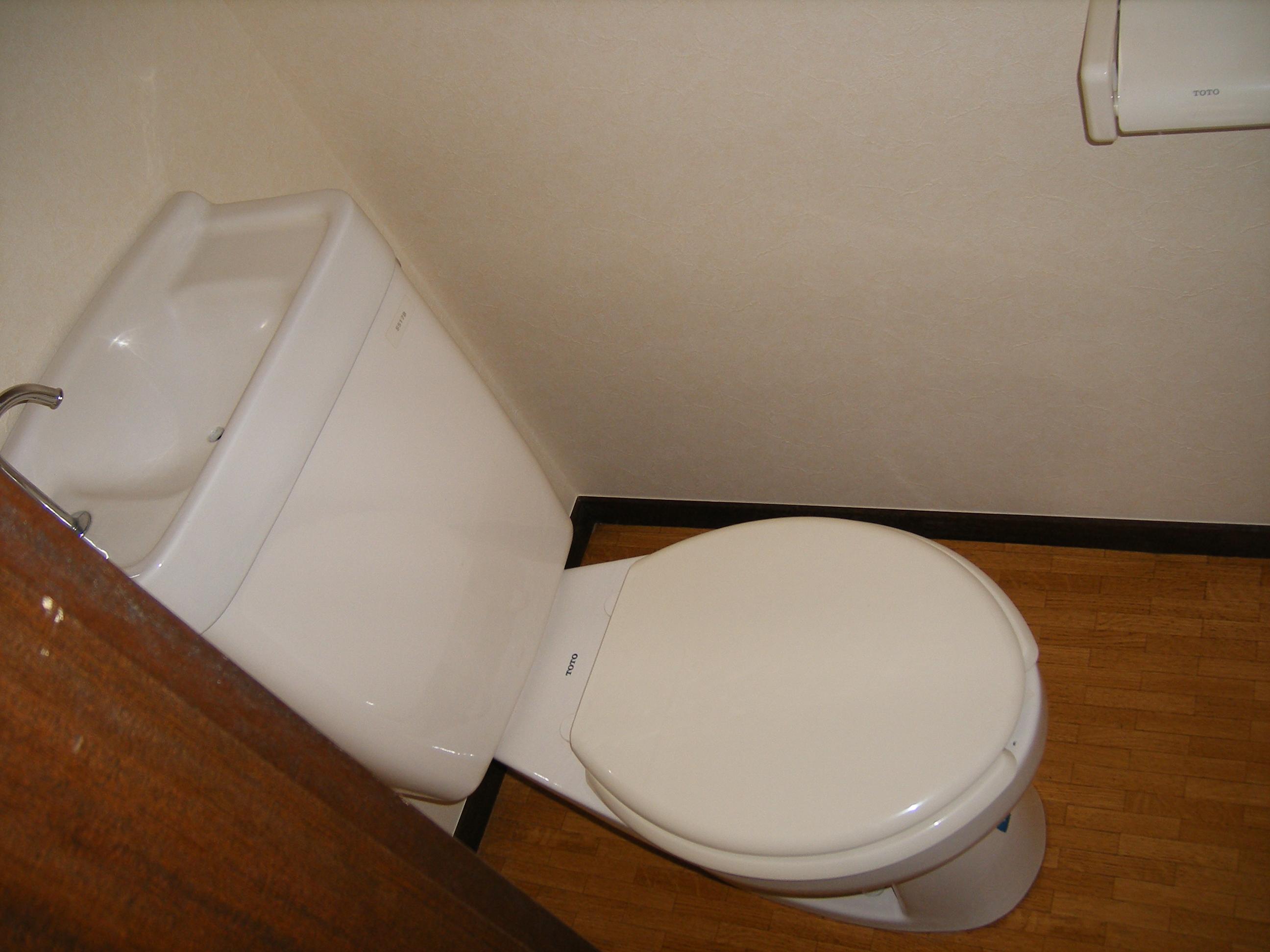 Toilet