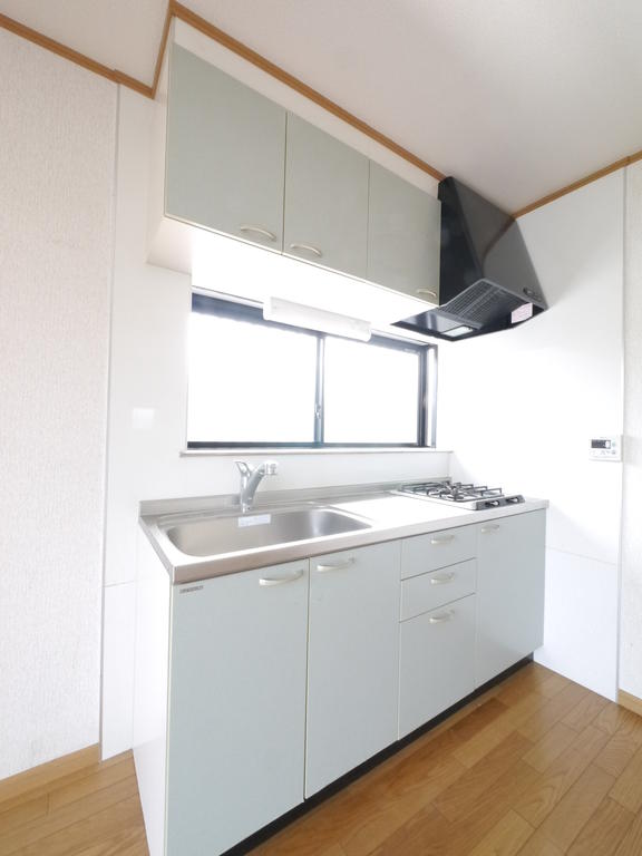 Kitchen. Stove with looks grateful