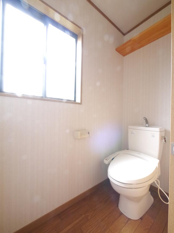 Toilet. Shelves and windows high point