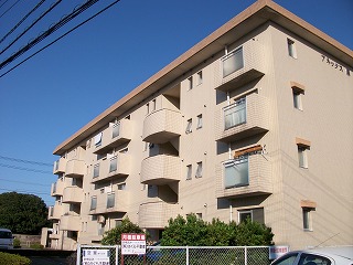 Building appearance