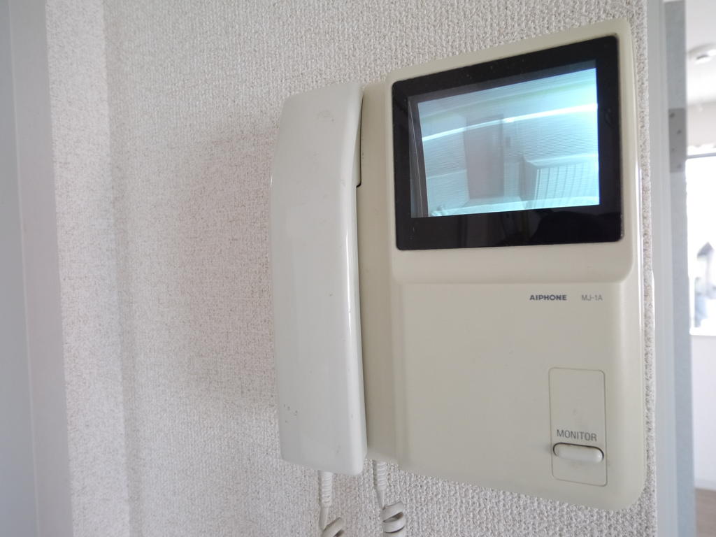 Security. Intercom with a monitor in which the face of the visitor can be seen