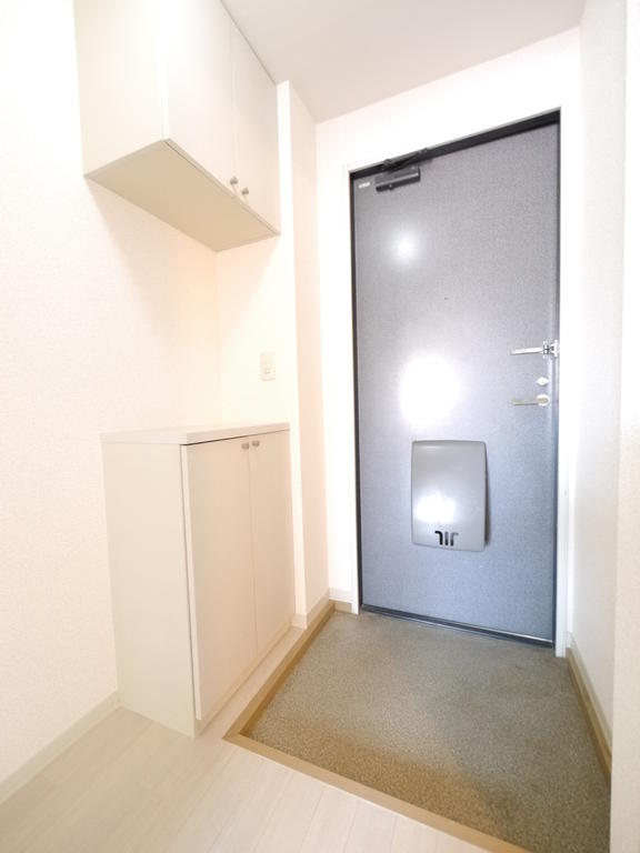 Entrance. There is a shoe cupboard of the upper and lower bunk