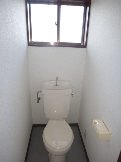Toilet. First floor toilet