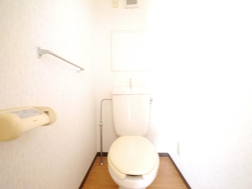 Toilet. Toilet