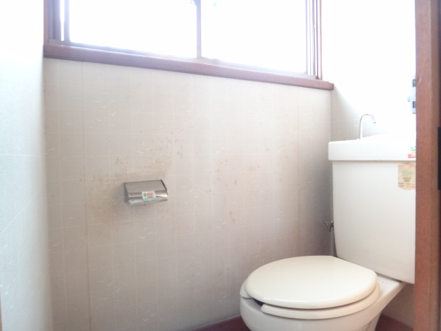 Toilet. Toilet