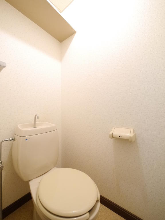 Toilet. The toilet has a shelf