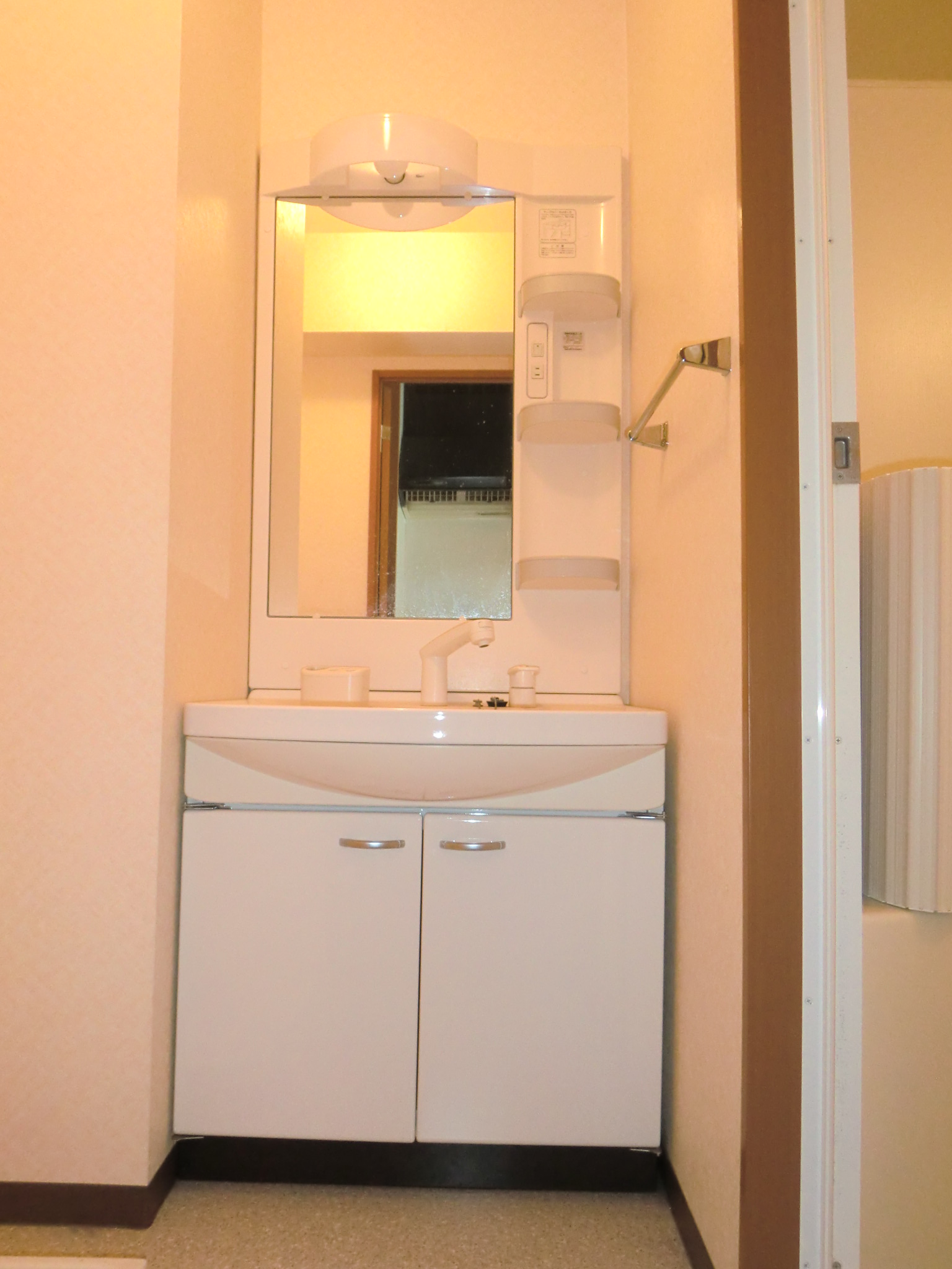 Washroom. Washbasin with shower Dresser