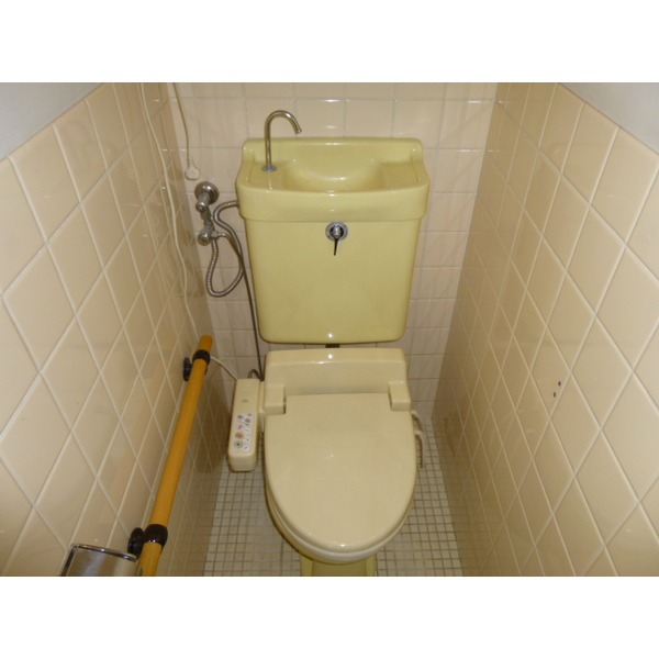 Toilet