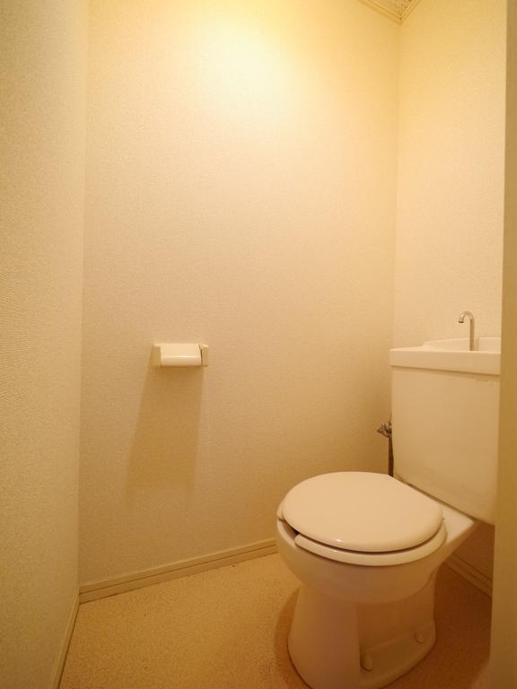 Toilet. Toilet