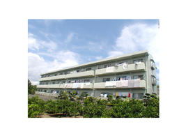 Building appearance