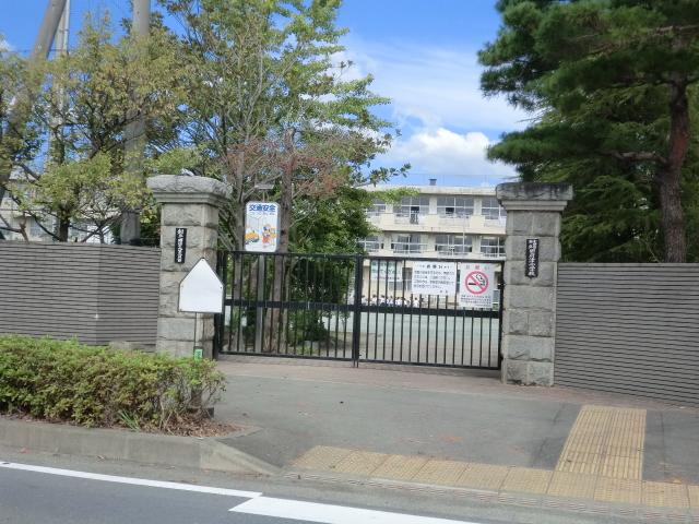 Primary school. Kozu elementary school