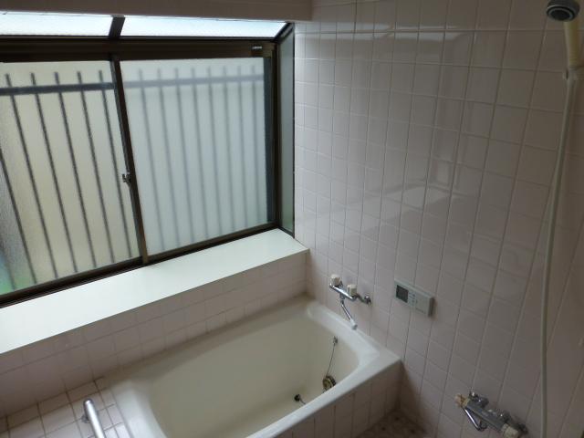 Bathroom. Indoor (10 May 2013) Shooting
