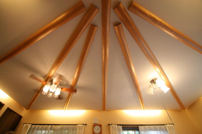 Other introspection. ceiling