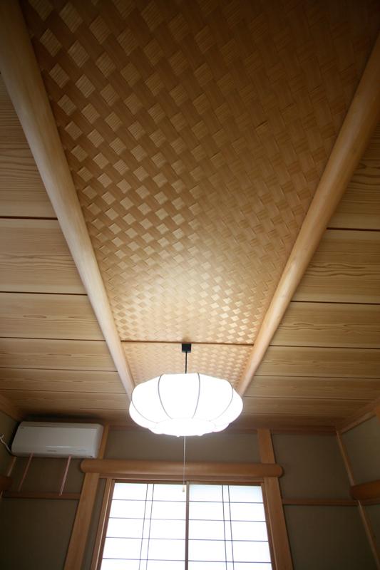 Other introspection. ceiling