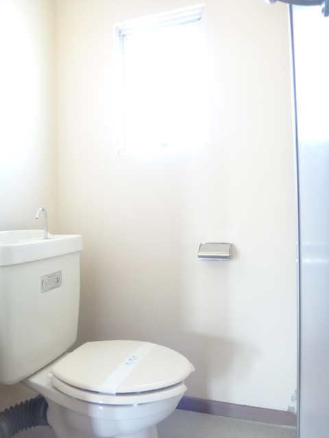 Toilet. Toilet