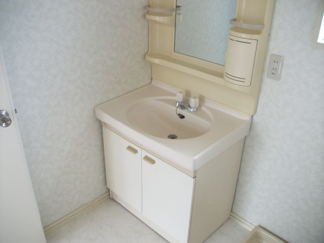 Washroom. A busy morning, This important!