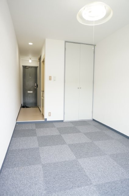 Living and room. The entrance has led in the passage