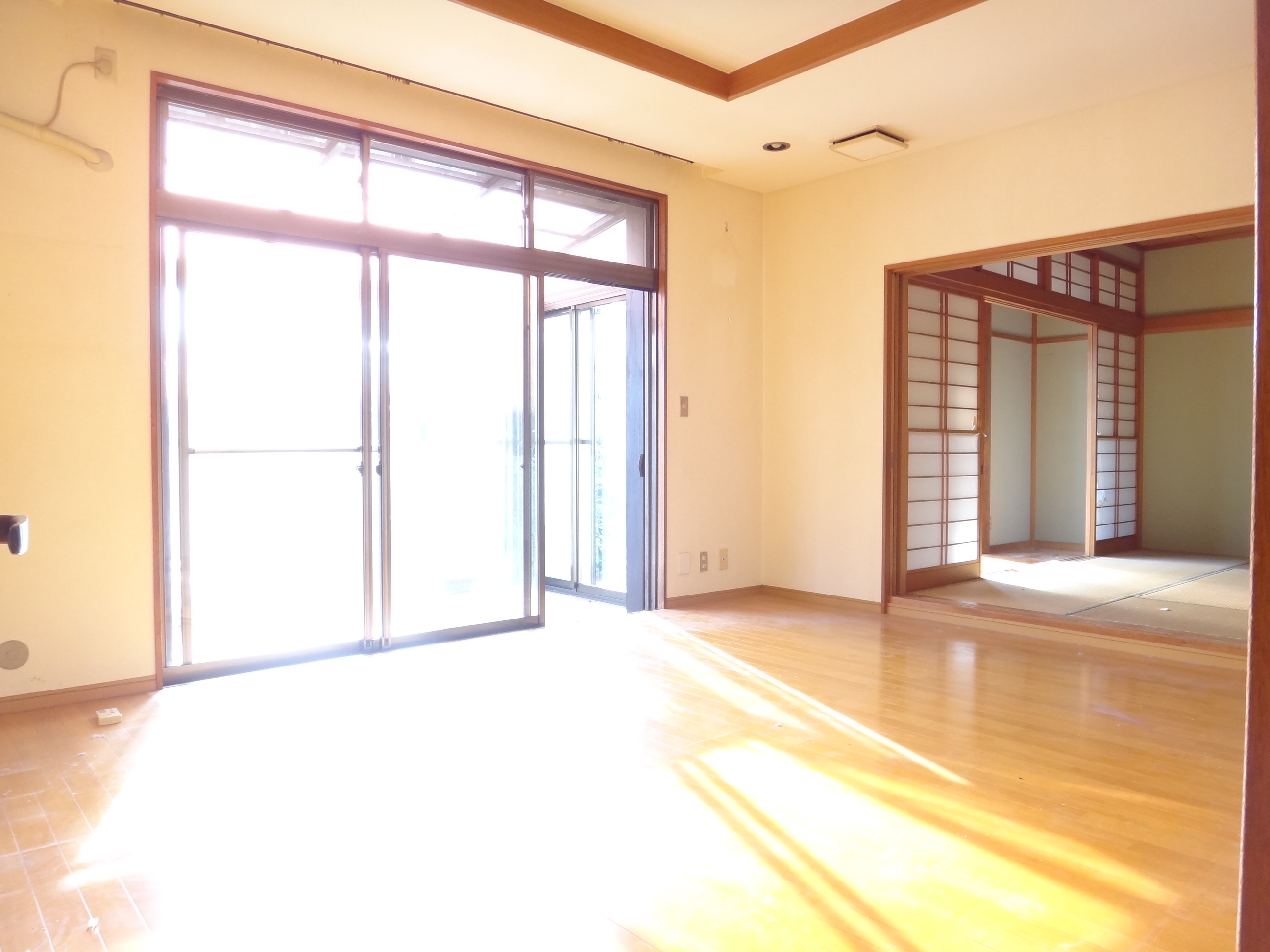 Living and room. Bright living. The other side of the window is a solarium