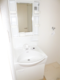 Washroom. Shampoo dresser