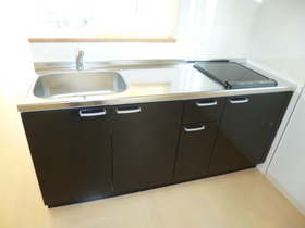 Kitchen. 2-neck IH cooking heater