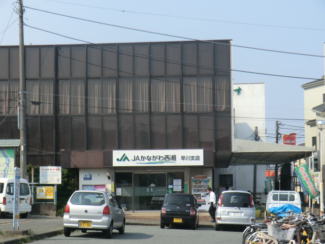Other. JA Kanagawa 600m to west 湘早 river branch (Other)