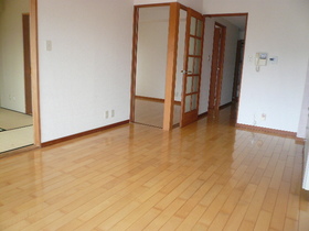 Living and room. Western style room