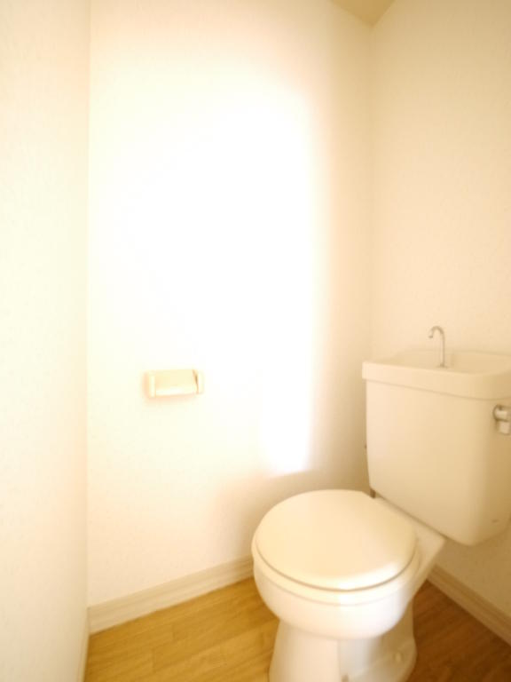 Toilet. Toilet