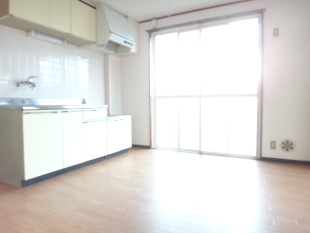 Kitchen. DK