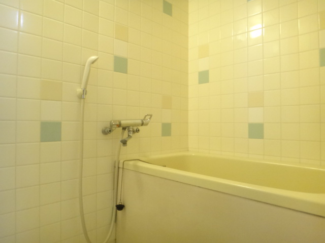 Bath. Bathroom