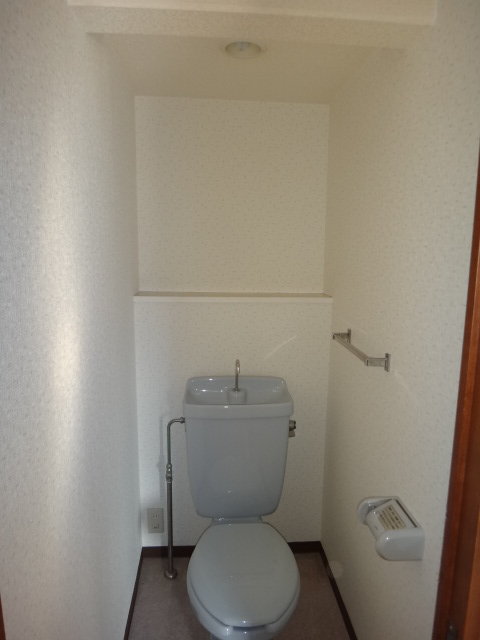Toilet. Toilet