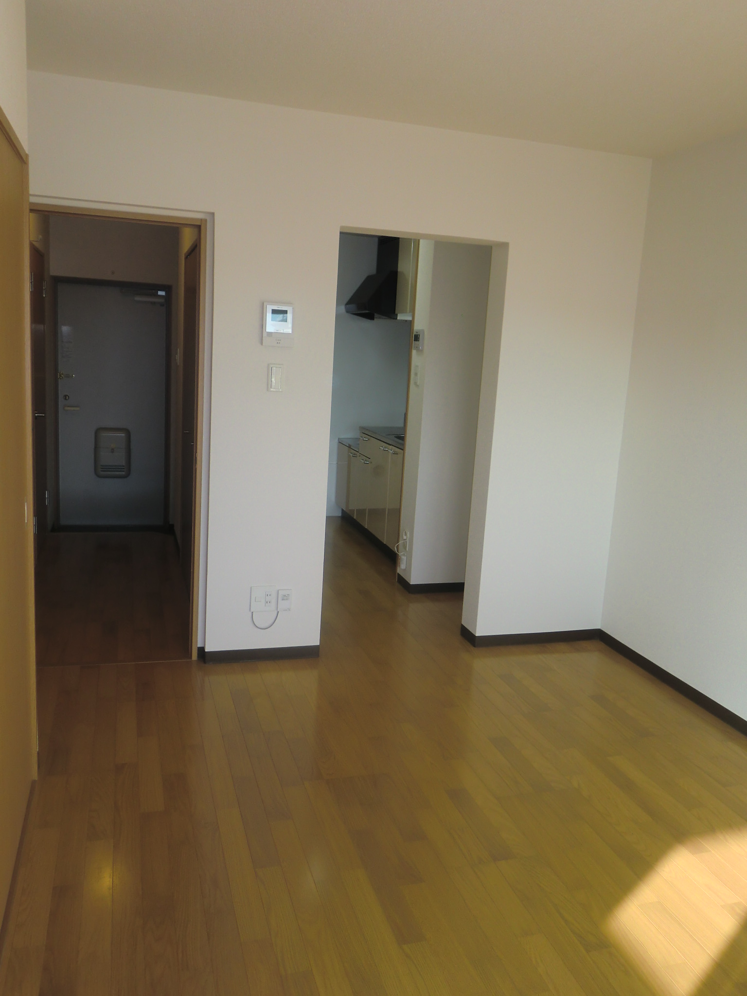 Living and room. LDK