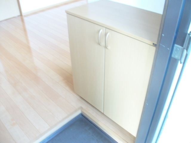 Entrance. There cupboard