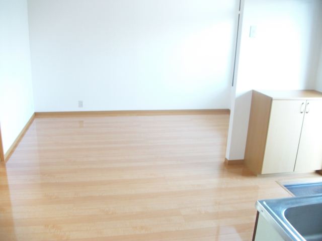 Living and room. A large living!