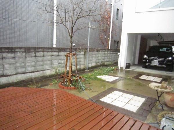 Garden. courtyard