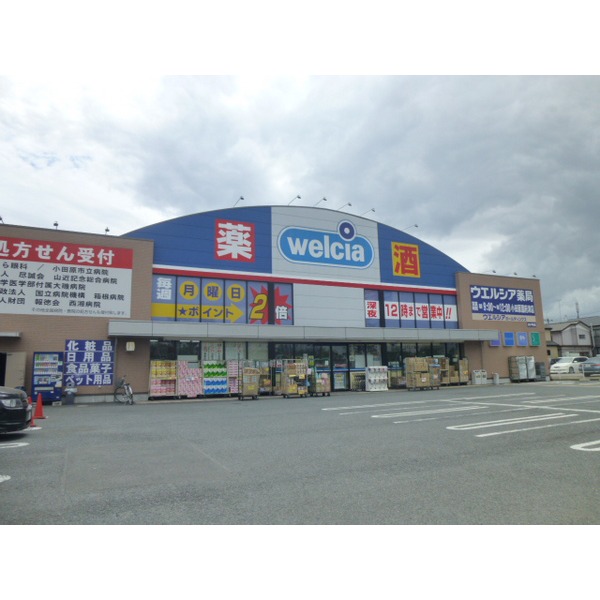 Dorakkusutoa. Uerushia pharmacy Odawara Kozu shop 133m until (drugstore)